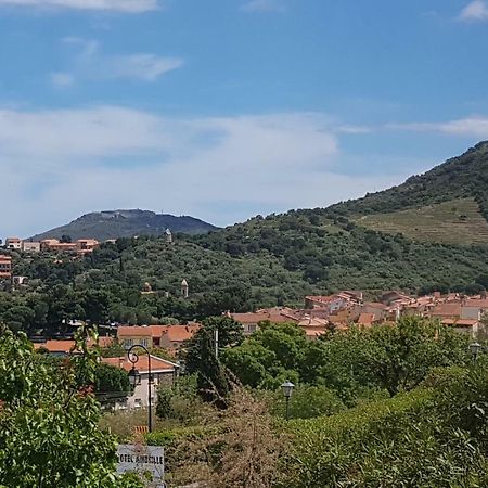 3Amb31 - Studio Pour 3 Personnes Avec Magnifique Vue Sur La Baie Collioure Buitenkant foto